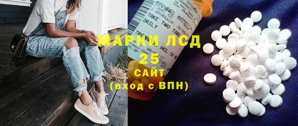ПСИЛОЦИБИНОВЫЕ ГРИБЫ Алексин