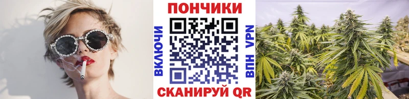 Купить закладки  Курчалой  Каннабис OG Kush 